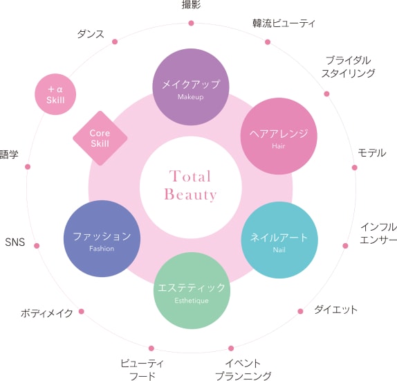 トータルビューティカリキュラムの図解