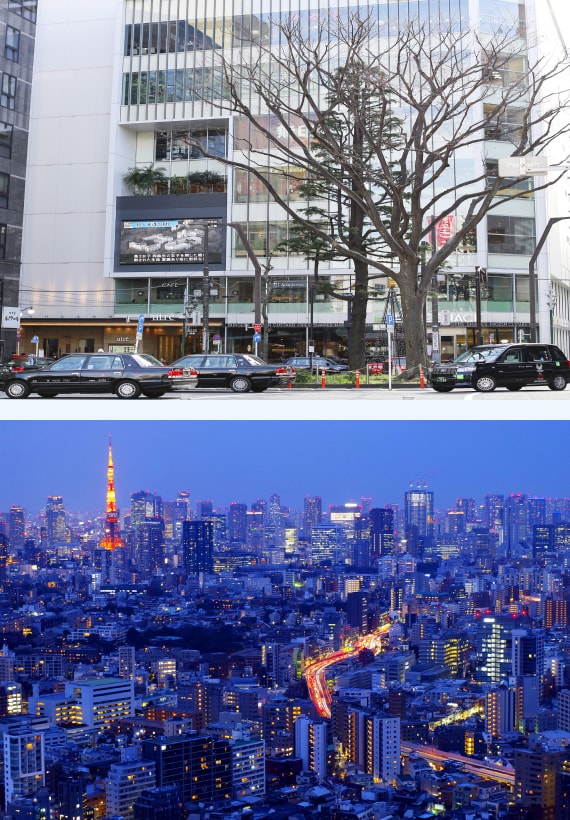 SHIBUYAのイメージ画像